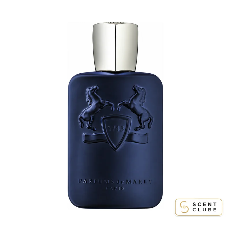 Layton — Scent Clube